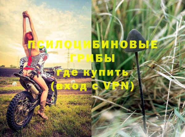 кокаин премиум Горнозаводск